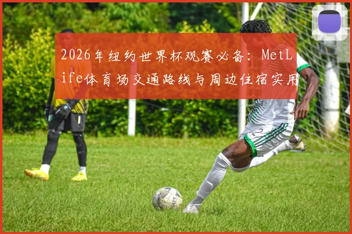 2026年纽约世界杯观赛必备:MetLife体育场交通路线与周边住宿实用指南
